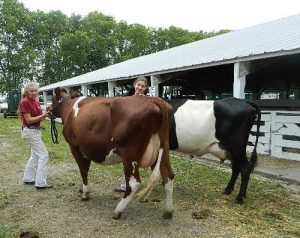 Grundy 2015 and June 2015 345